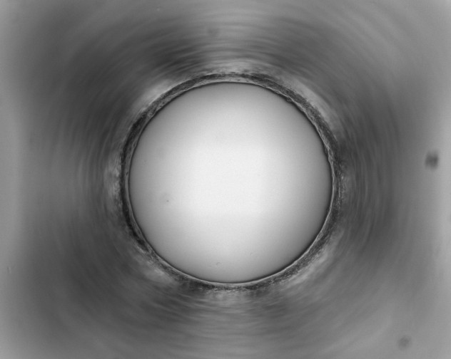 X0000102350778200808151749