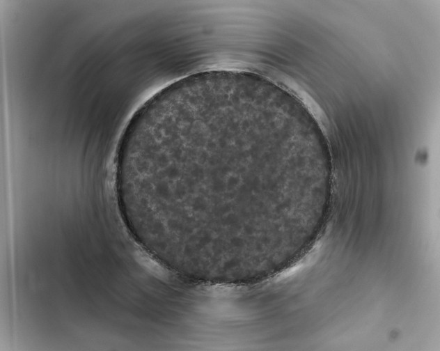 X0000102350779200808151749