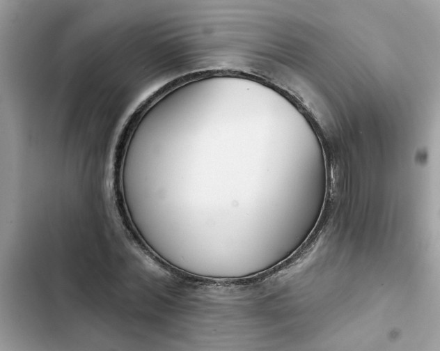 X0000102350780200808151749