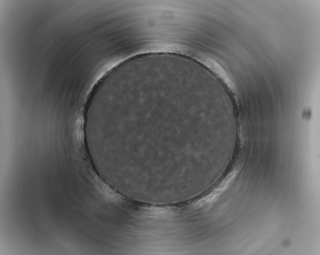 X0000102350781200808151749