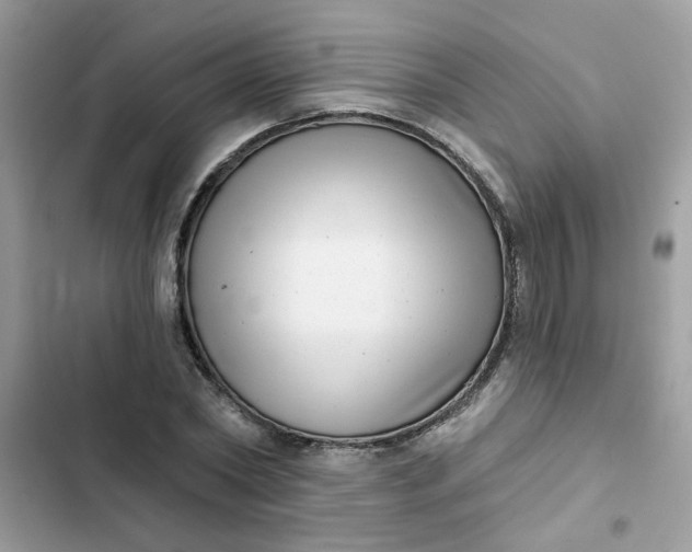 X0000102350782200808151749