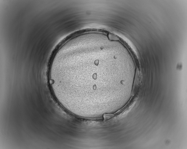 X0000102350783200808151749