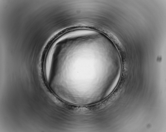 X0000102350784200808151749