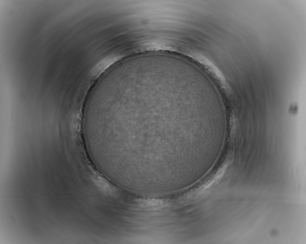 X0000102350785200808151749