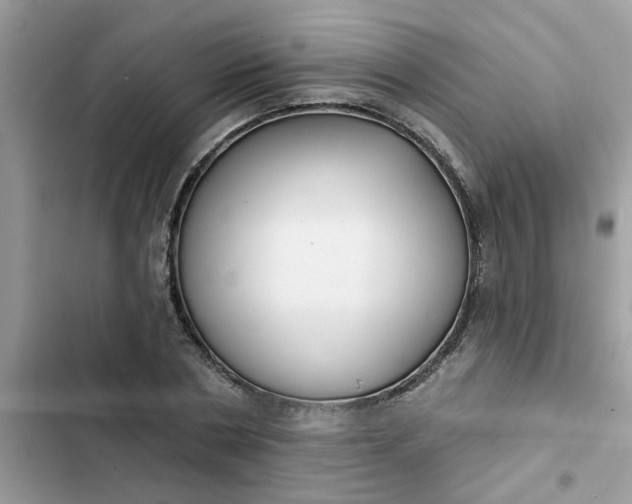 X0000102350786200808151749