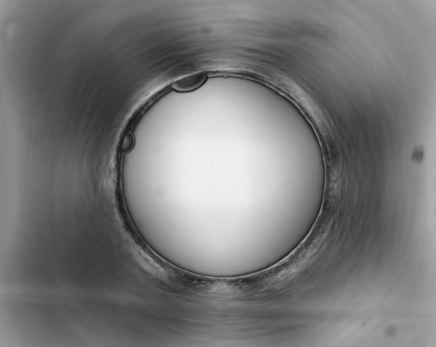 X0000102350787200808151749