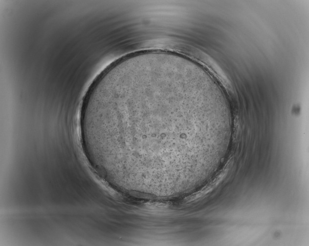 X0000102350788200808151749