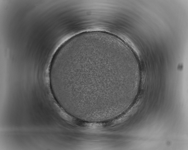 X0000102350789200808151749