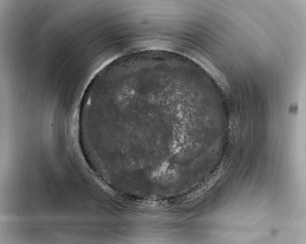 X0000102350790200808151749