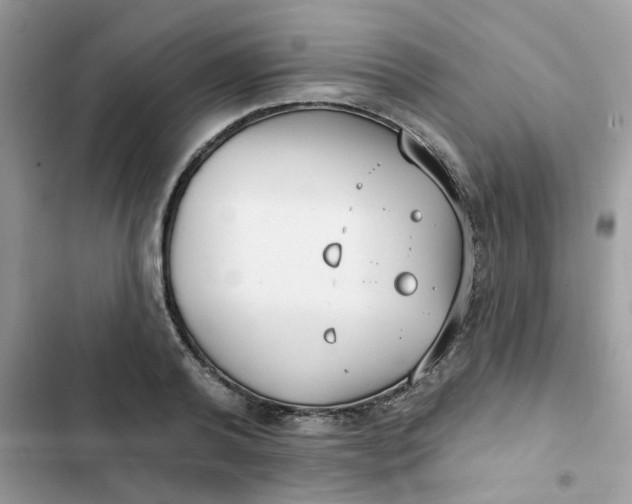 X0000102350792200808151749