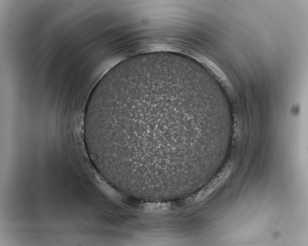 X0000102350793200808151749