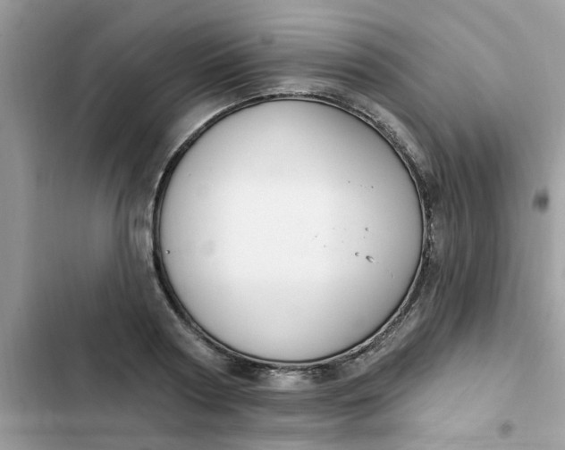 X0000102350794200808151749