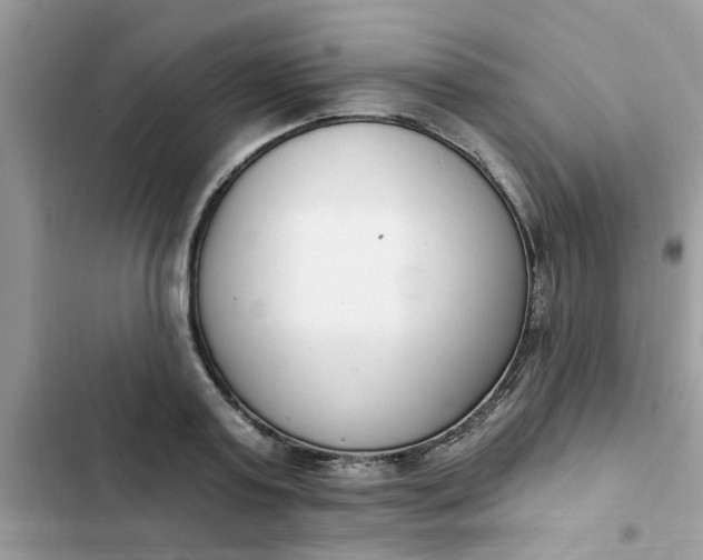 X0000102350795200808151749