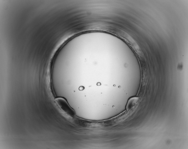 X0000102350796200808151749