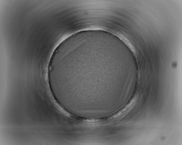 X0000102350797200808151749