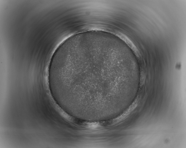 X0000102350798200808151749