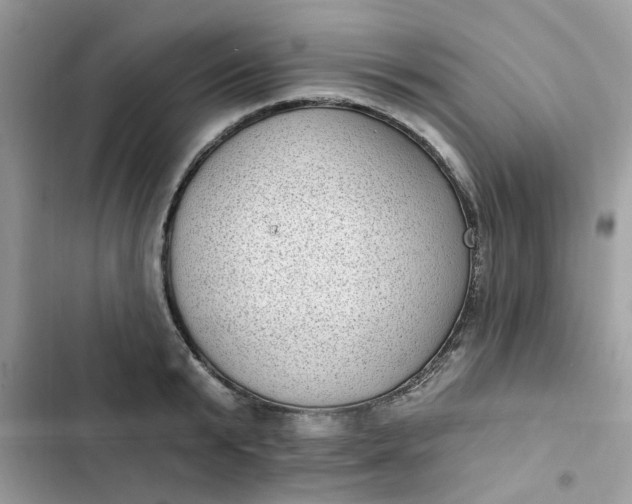 X0000102350799200808151749