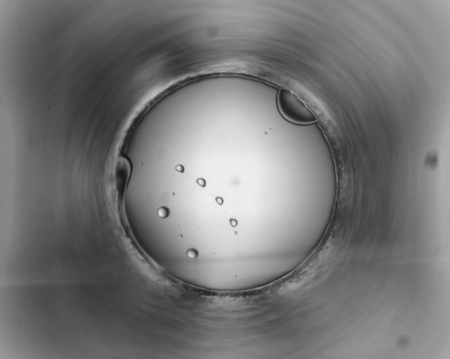 X0000102350800200808151749