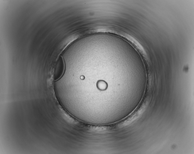 X0000102350801200808151749