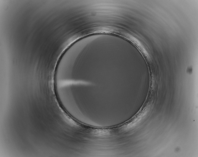 X0000102350802200808151749