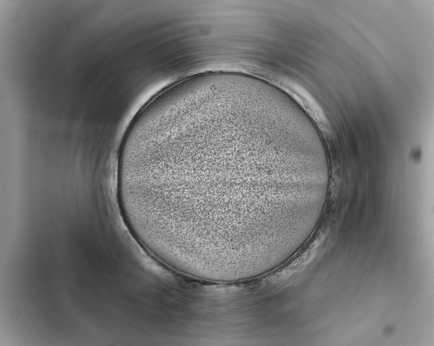 X0000102350804200808151749