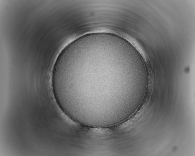 X0000102350805200808151749