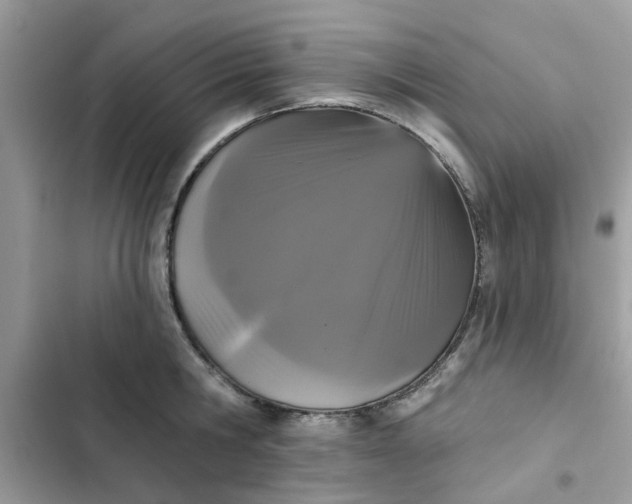 X0000102350806200808151749