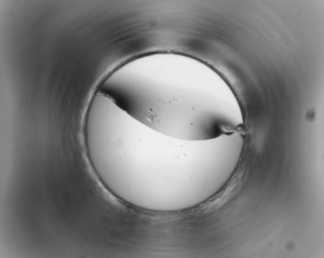 X0000102350807200808151749