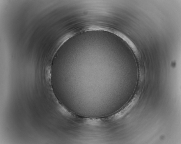 X0000102350809200808151749