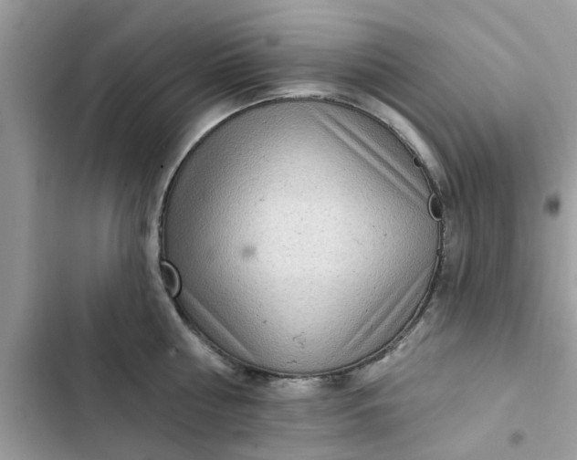 X0000102350810200808151749