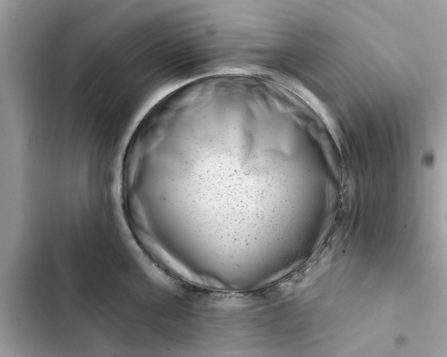 X0000102350811200808151749