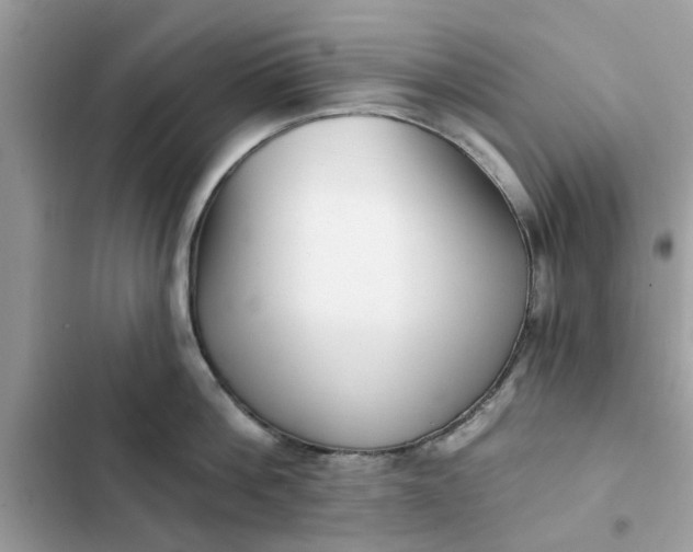 X0000102350812200808151749