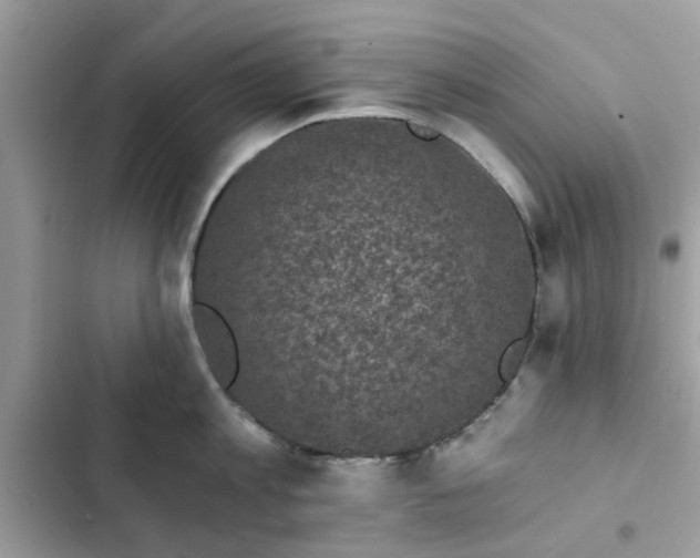 X0000102350813200808151749