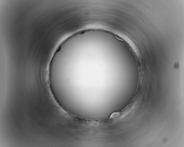 X0000102350815200808151749