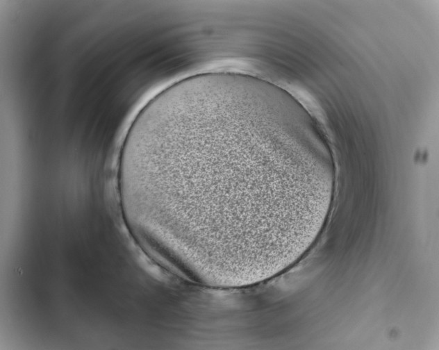 X0000102350816200808151749