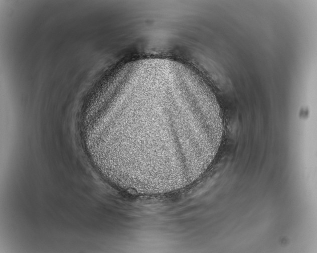 X0000102350817200808151748