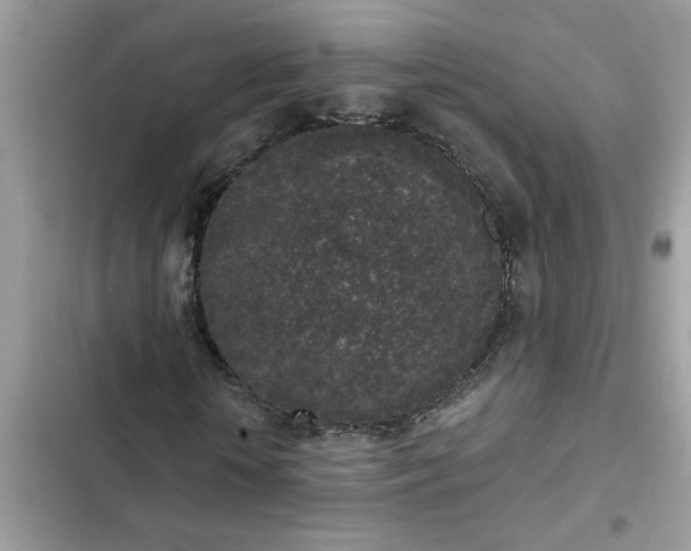 X0000102350818200808151748