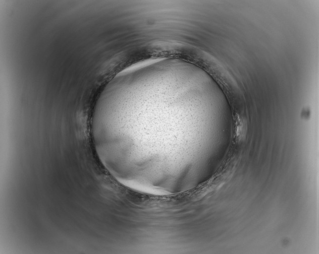 X0000102350819200808151748