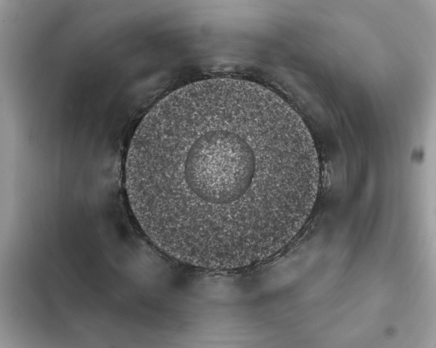 X0000102350820200808151748