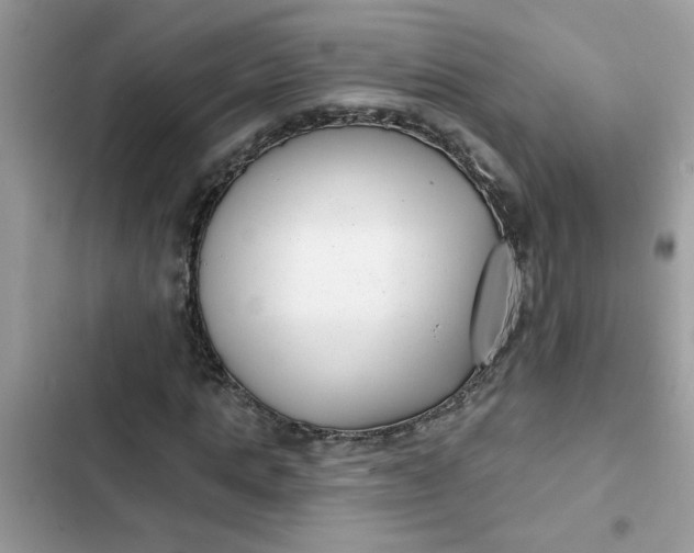 X0000102350821200808151748