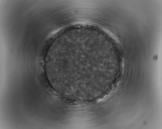 X0000102350822200808151748