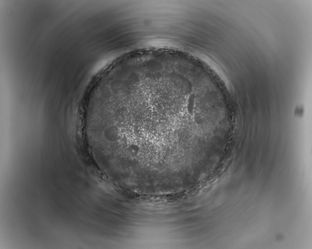 X0000102350823200808151748