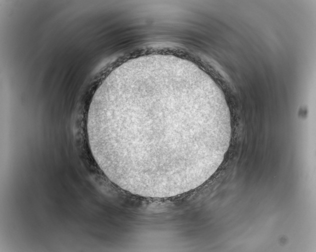 X0000102350824200808151748