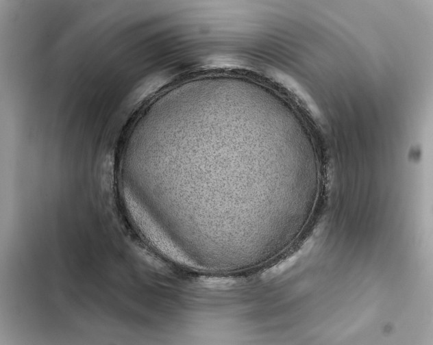 X0000102350825200808151748