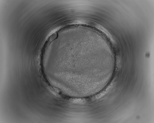 X0000102350826200808151748