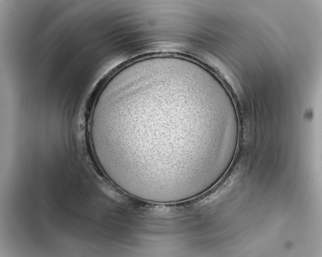 X0000102350827200808151748