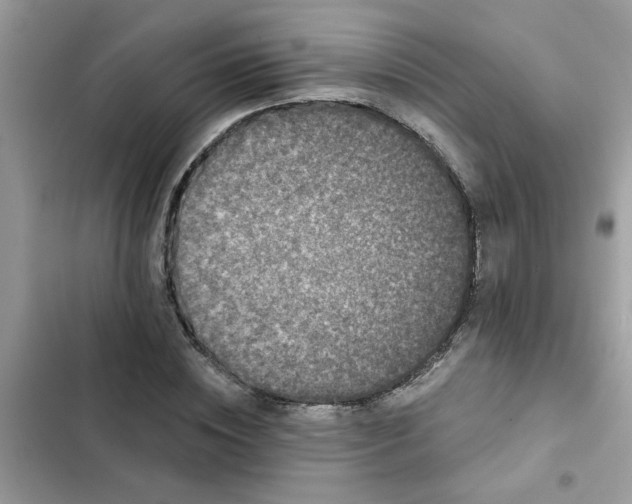 X0000102350828200808151748