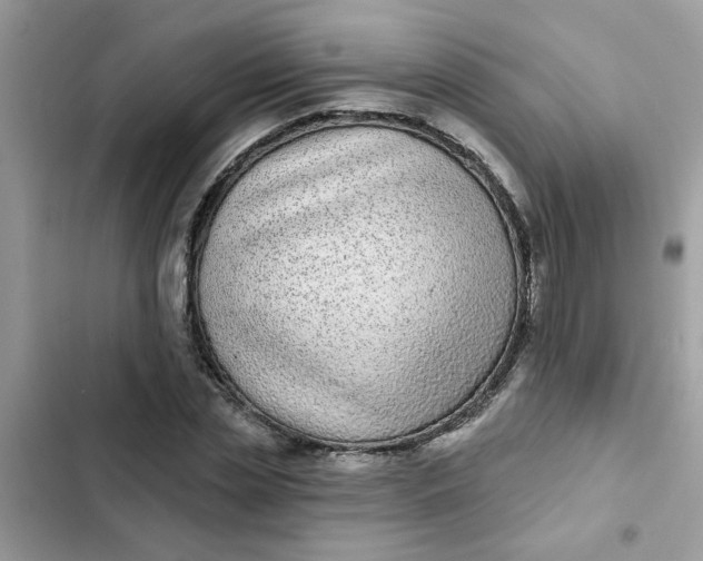 X0000102350829200808151748