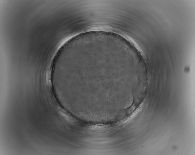 X0000102350830200808151748