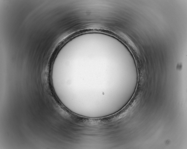 X0000102350831200808151748